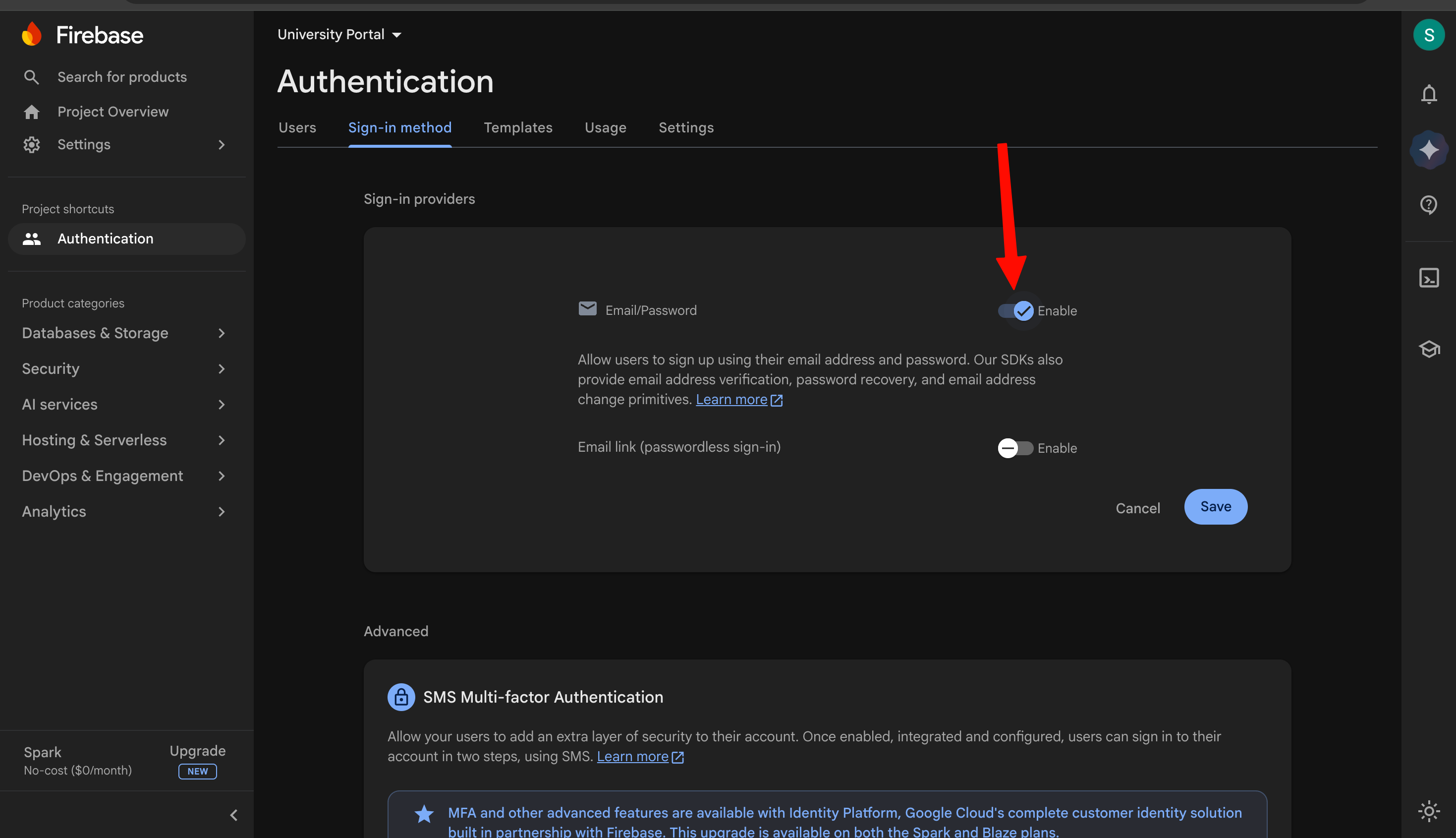 Email and Password enabled in Firebase Authentication