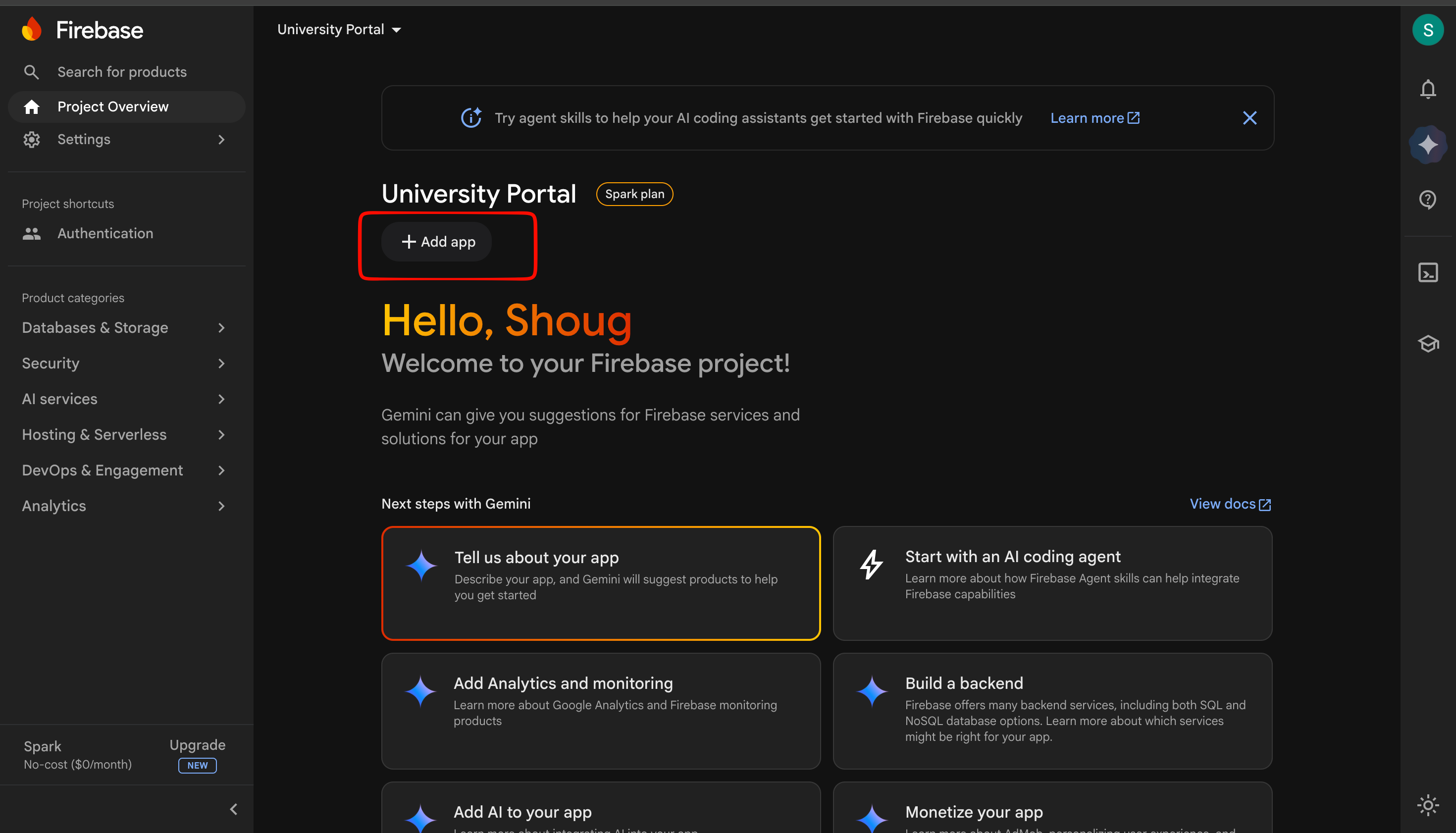 Firebase project dashboard getting started